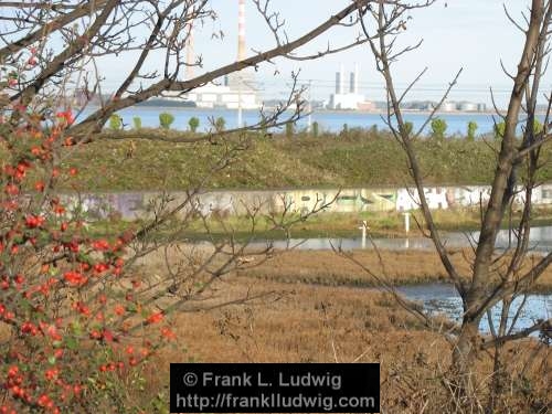 Booterstown Nature Reserve